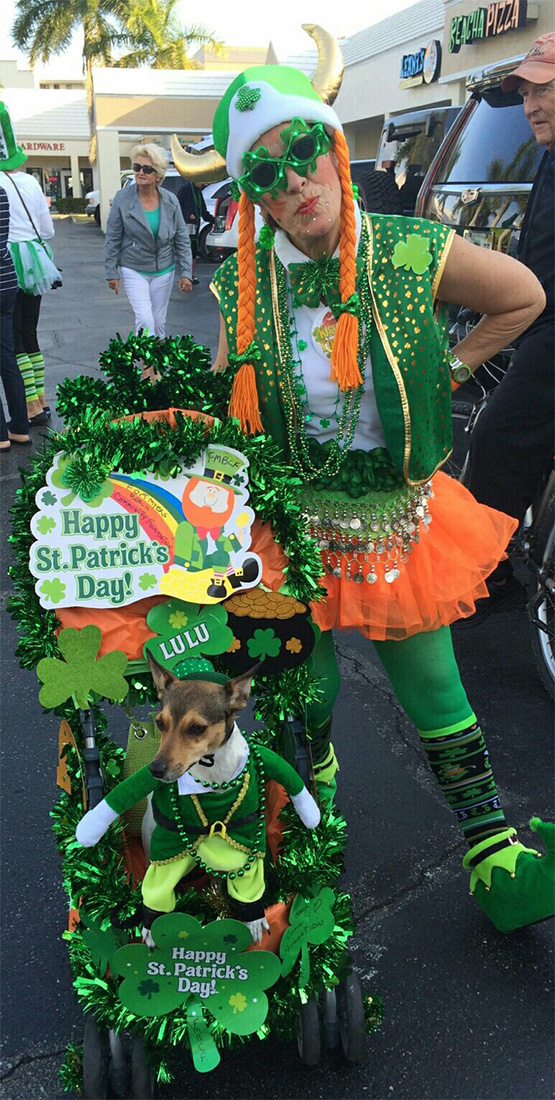 lulu the dog-dressed up for the parade-fmb community foundation