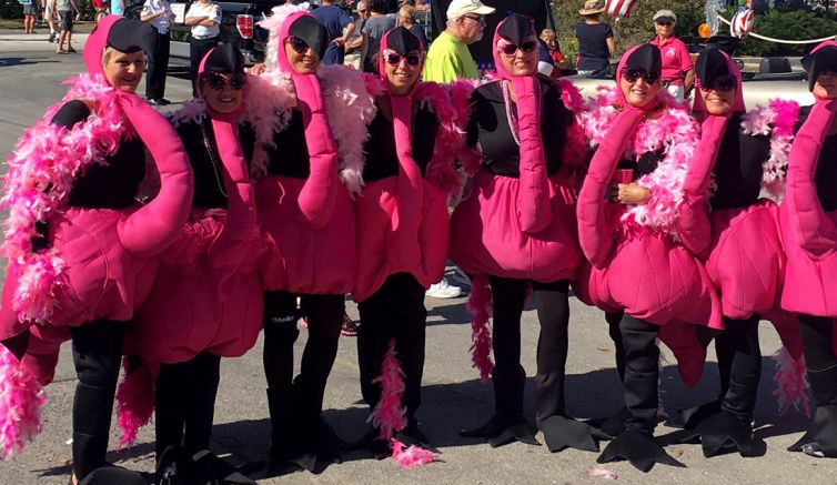 pink flamingos-parade-fort myers beach community foundation