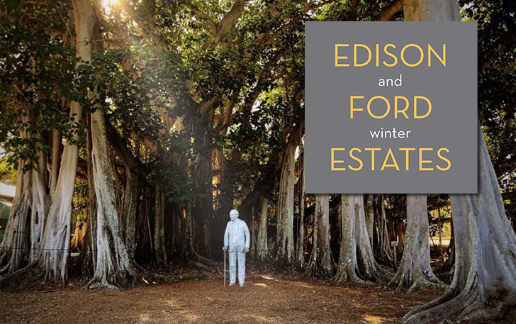 edison-ford-estates-virtual-auction
