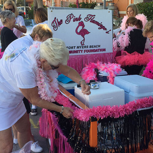 Membership-Pink-Flamingo-Ladies-Float