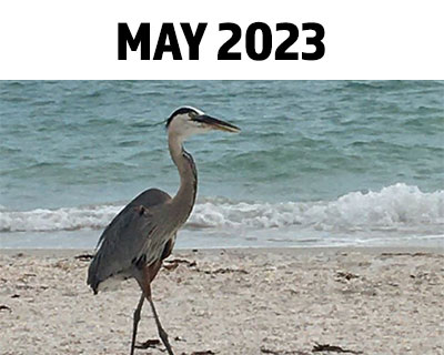 MAY-2023-NEWSLETTER-COVER-IMAGE